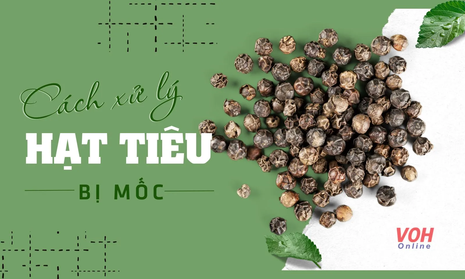 4 cách xử lý tiêu bị mốc đơn giản, không lãng phí tiêu