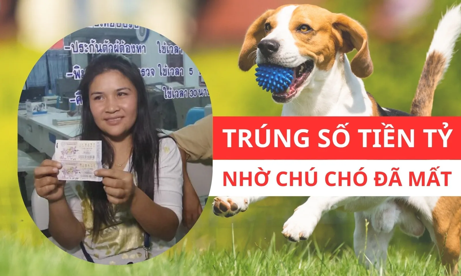 Trúng số tiền tỷ nhờ... chú chó đã mất