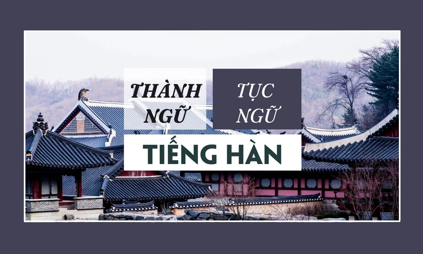 173 câu tục ngữ, thành ngữ tiếng Hàn thông dụng