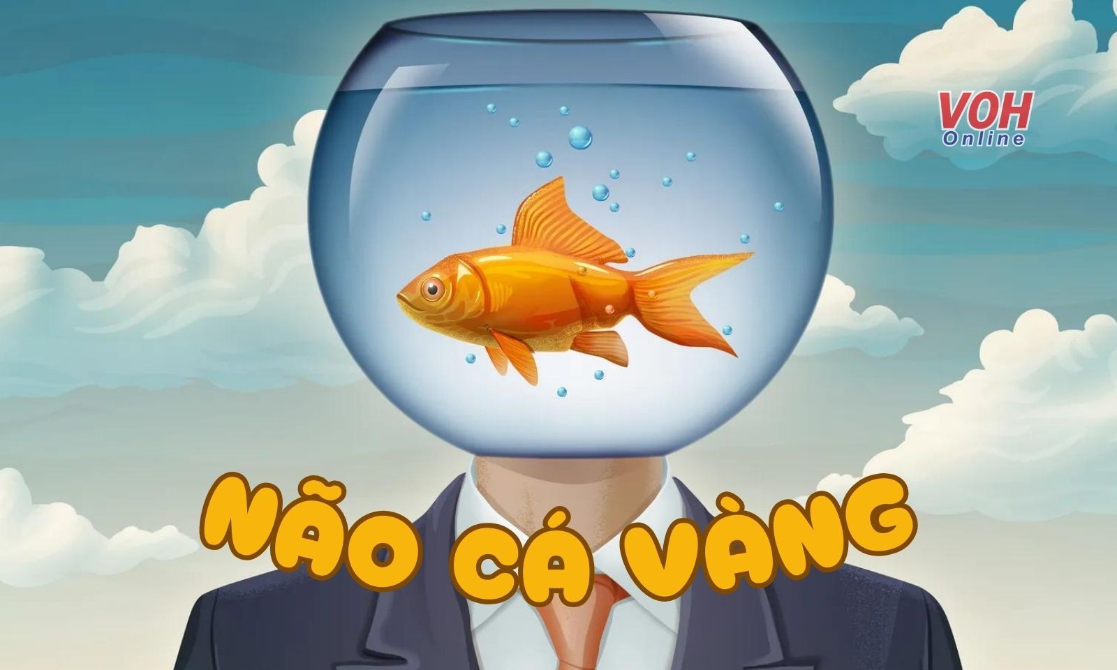 Não cá vàng là gì? Bạn có phải là người có trí nhớ 3 giây?