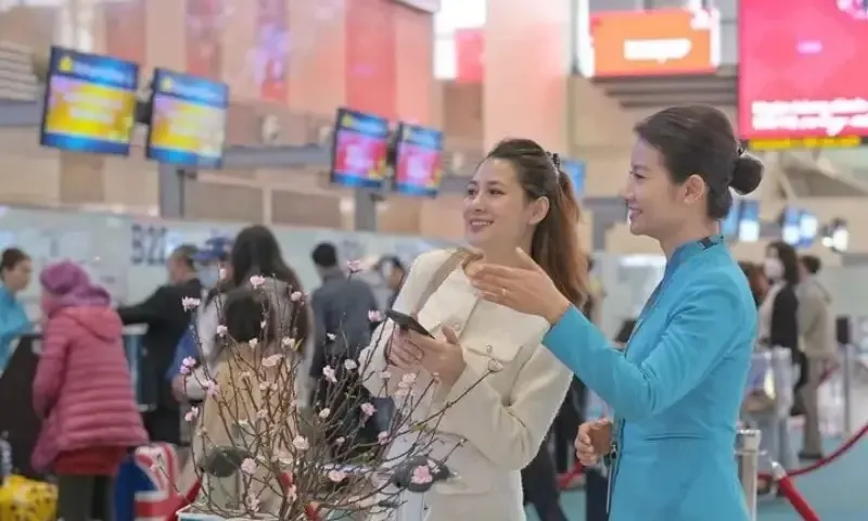 Hàng không bắt đầu nhận chở mai, đào dịp Tết