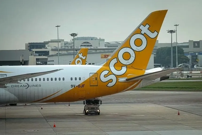 Kết án kẻ trộm tiền trên máy bay từ TPHCM đến Singapore