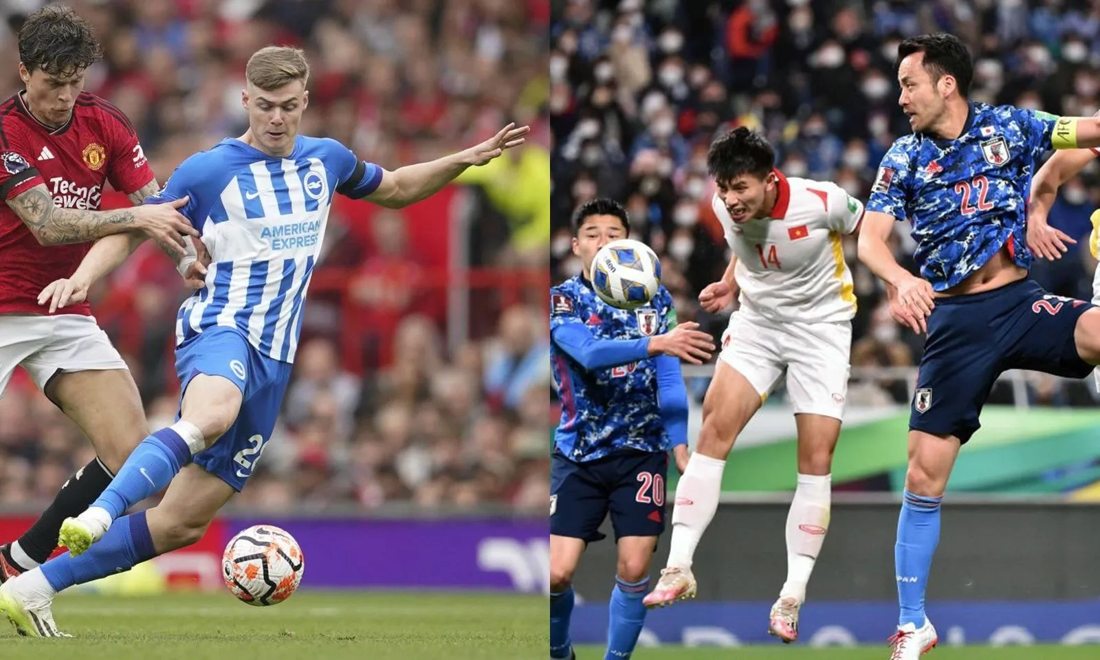 Tin bóng đá mới nhất Rõ vụ Chelsea chiêu mộ Evan Ferguson Giá trị ĐH tuyển Nhật Bản cao gấp