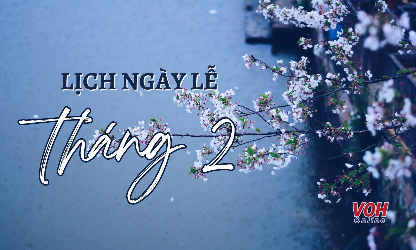 Tháng 2 có ngày lễ gì? Những sự kiện quan trọng không thể bỏ lỡ