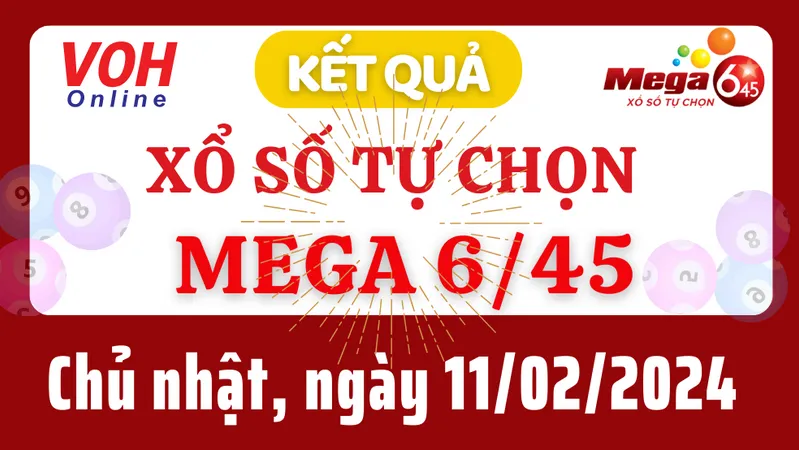 Vietlott MEGA 645 11/2 - Kết quả xổ số Vietlott hôm nay chủ nhật 11/2/2024