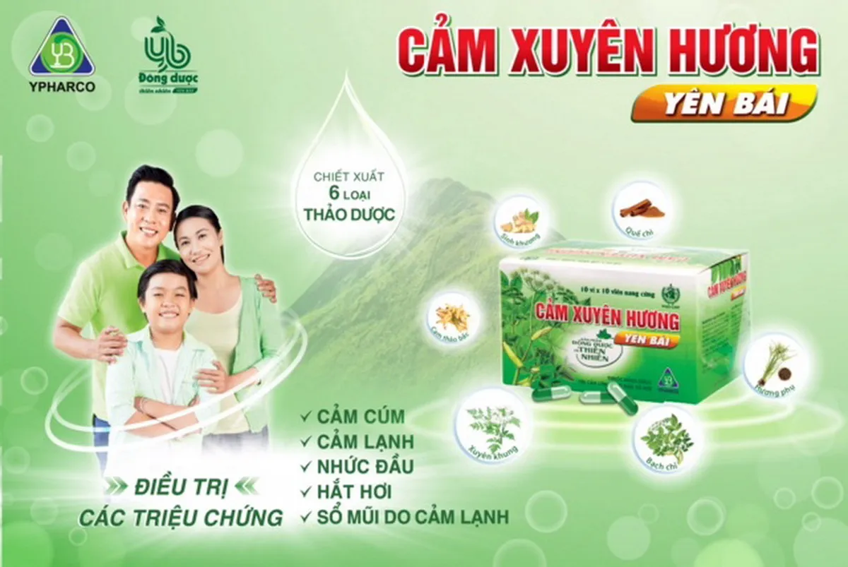 Cảm Xuyên Hương – Phương pháp trị cảm từ 6 thảo dược thiên nhiên