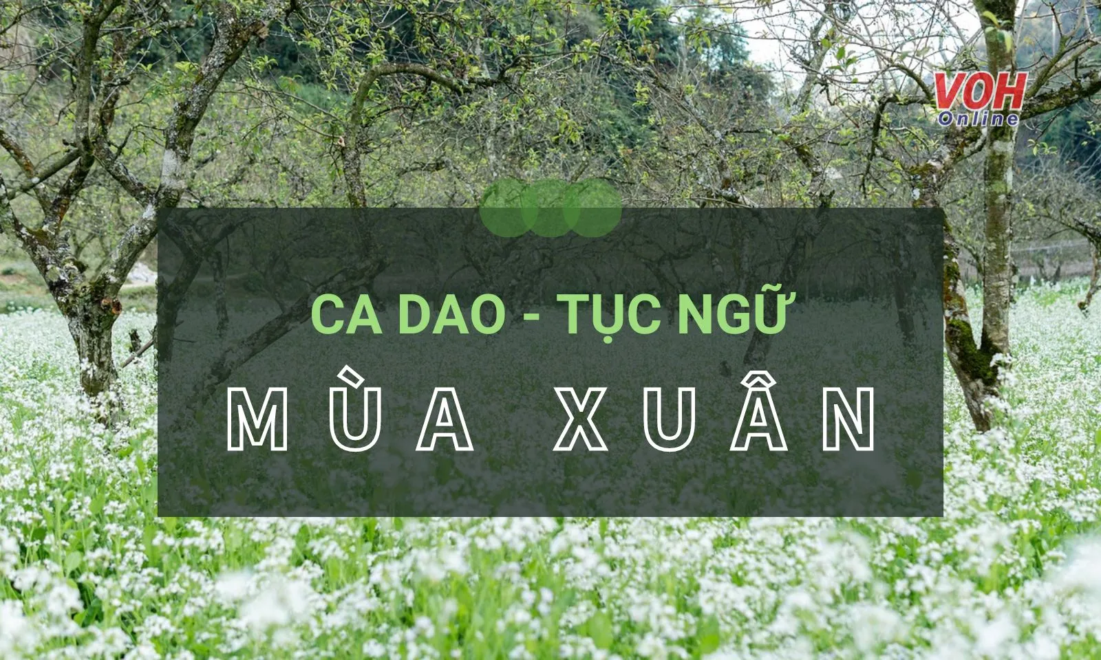 Những câu ca dao, tục ngữ về mùa xuân đầy sắc màu và cảm xúc