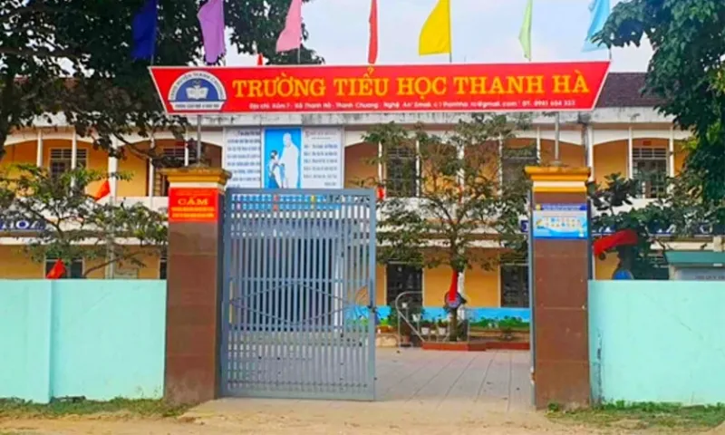 Kế toán ‘quên’ nộp tiền BHYT của hàng trăm học sinh