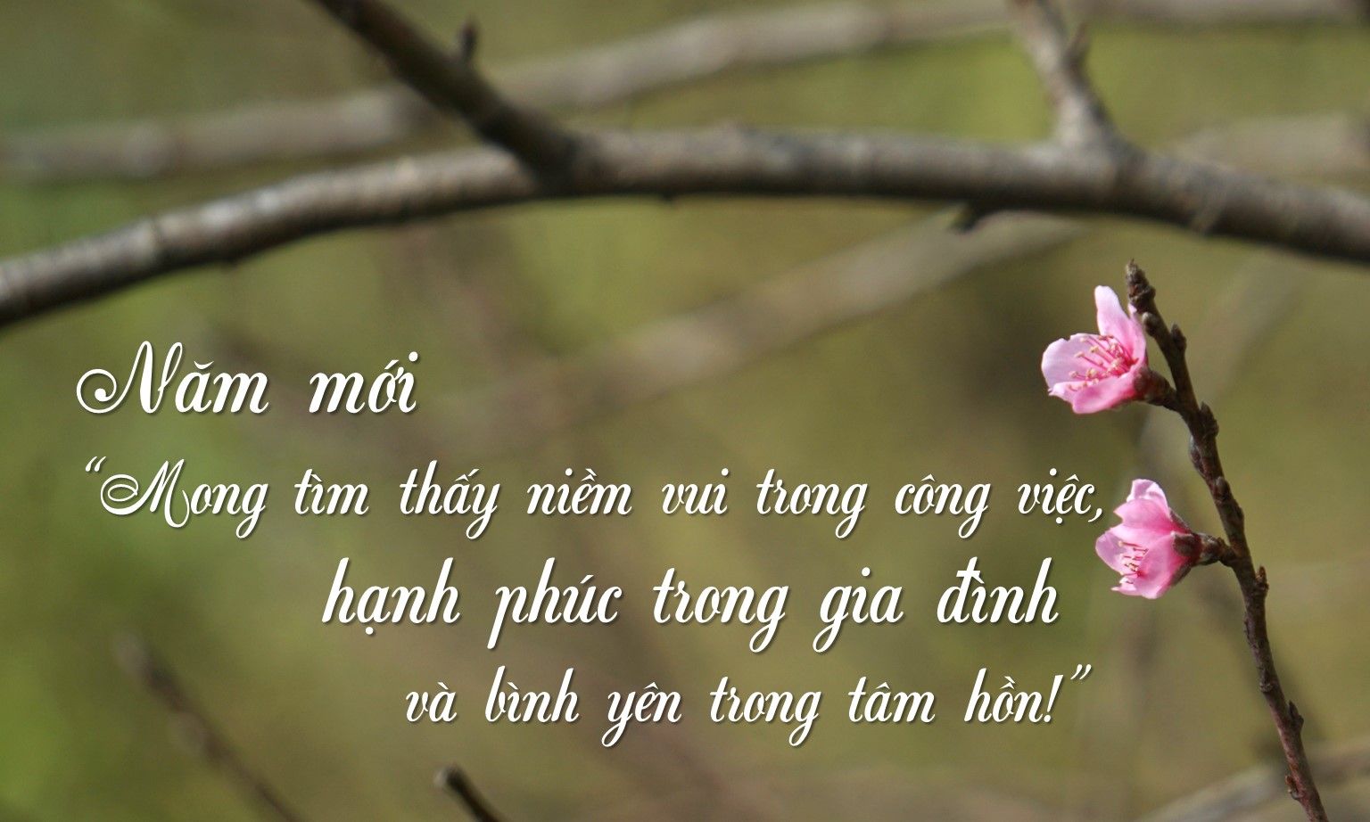 Năm mới: Người trẻ mong tìm thấy niềm vui công việc, hạnh phúc gia đình và bình yên tâm hồn