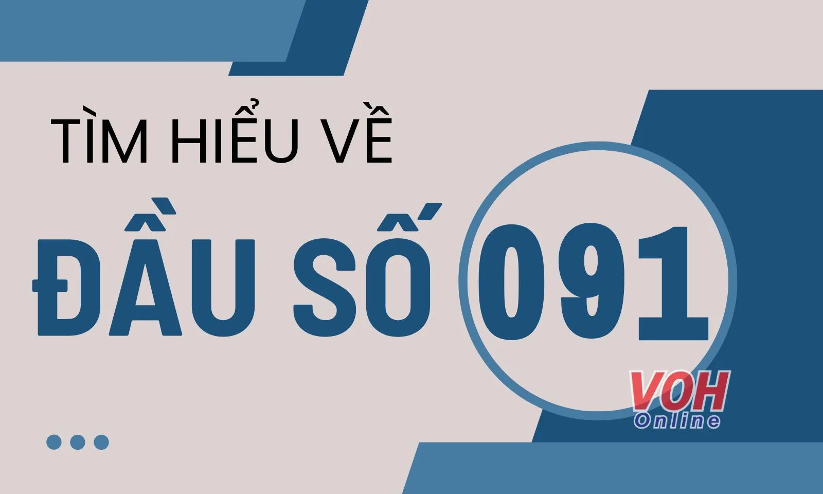 091 là mạng gì? Vì sao đầu số 091 được nhiều người yêu thích?