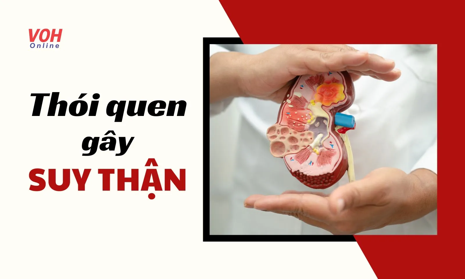 Thói quen nào dẫn đến bệnh suy thận?