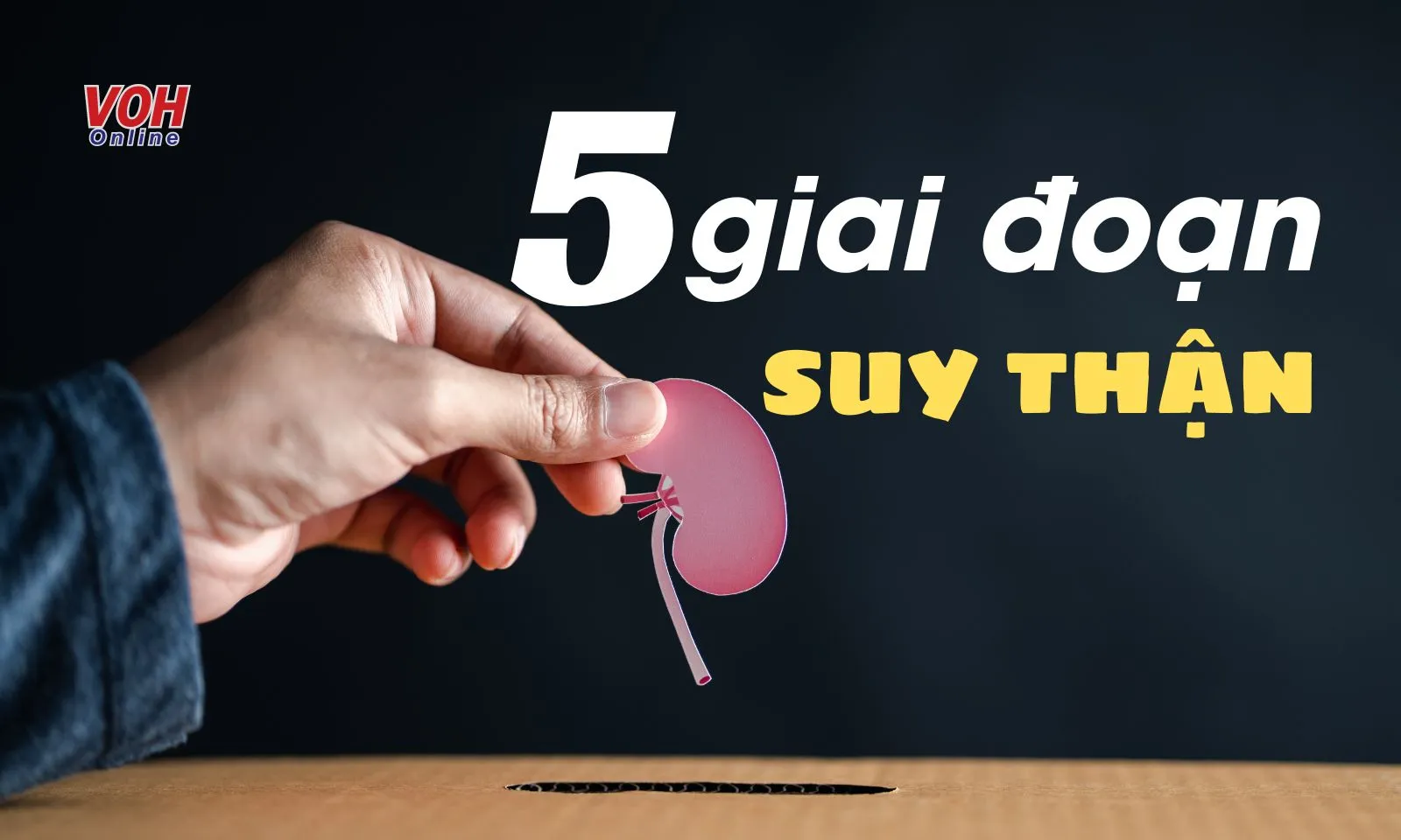 Các giai đoạn suy thận mạn và biến chứng nguy hiểm