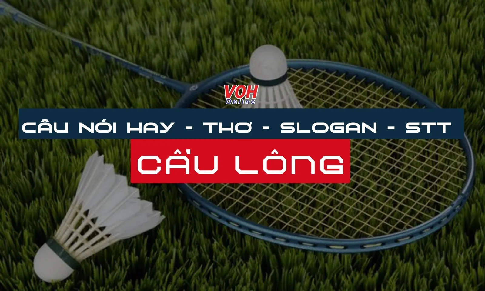 40+ câu nói hay, thơ, slogan, stt về cầu lông