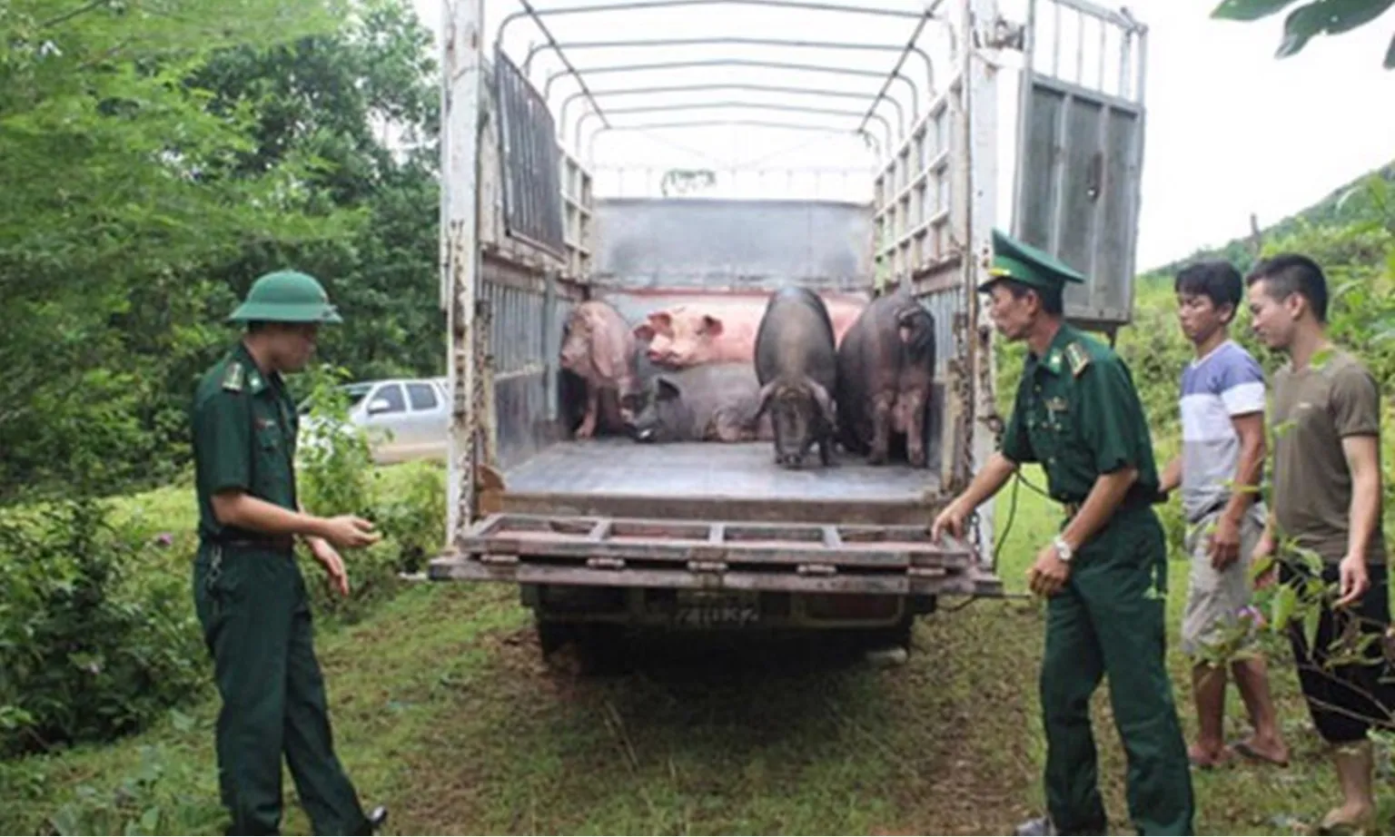 Tăng cường ngăn chặn buôn lậu động vật, sản phẩm động vật qua biên giới vào Việt Nam