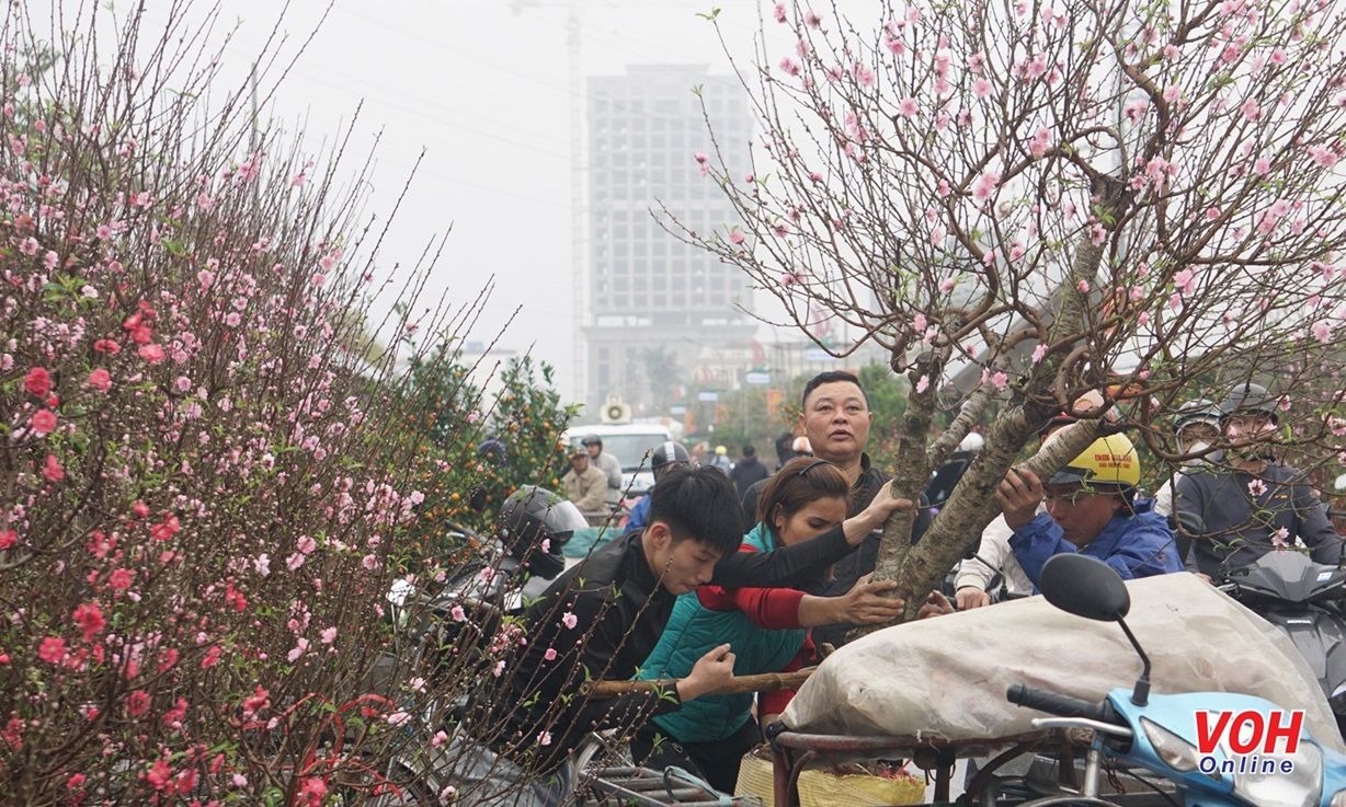 Tết Giáp Thìn 2024: Miền Bắc rét đậm, miền Nam nắng nóng