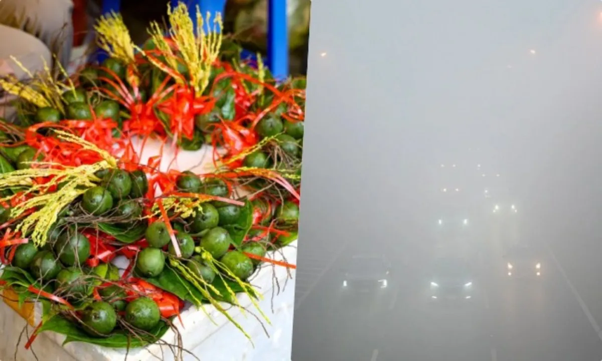 Điểm tin trưa 2/2: Giá trầu cau tăng mạnh ngày ông Công ông Táo | Hà Nội sương mù dày đặc