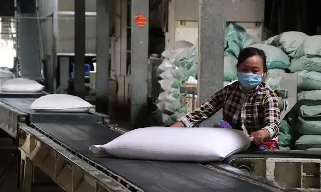 Xuất cấp hơn 7.000 tấn gạo dịp Tết Giáp Thìn và giáp hạt