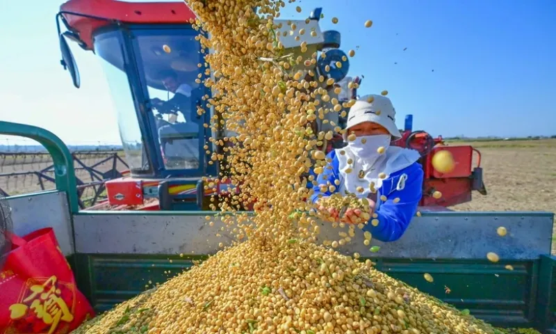 IMF dự báo Kinh tế Trung Quốc sẽ tiếp tục giảm tốc