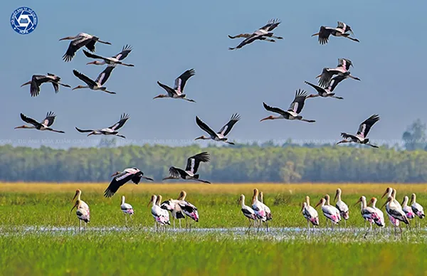 Xuân Quê hương Giáp Thìn - 2024