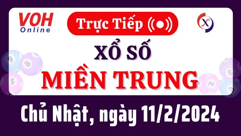 XSMT 11/2, Trực tiếp xổ số miền Trung chủ nhật ngày 11/2/2024