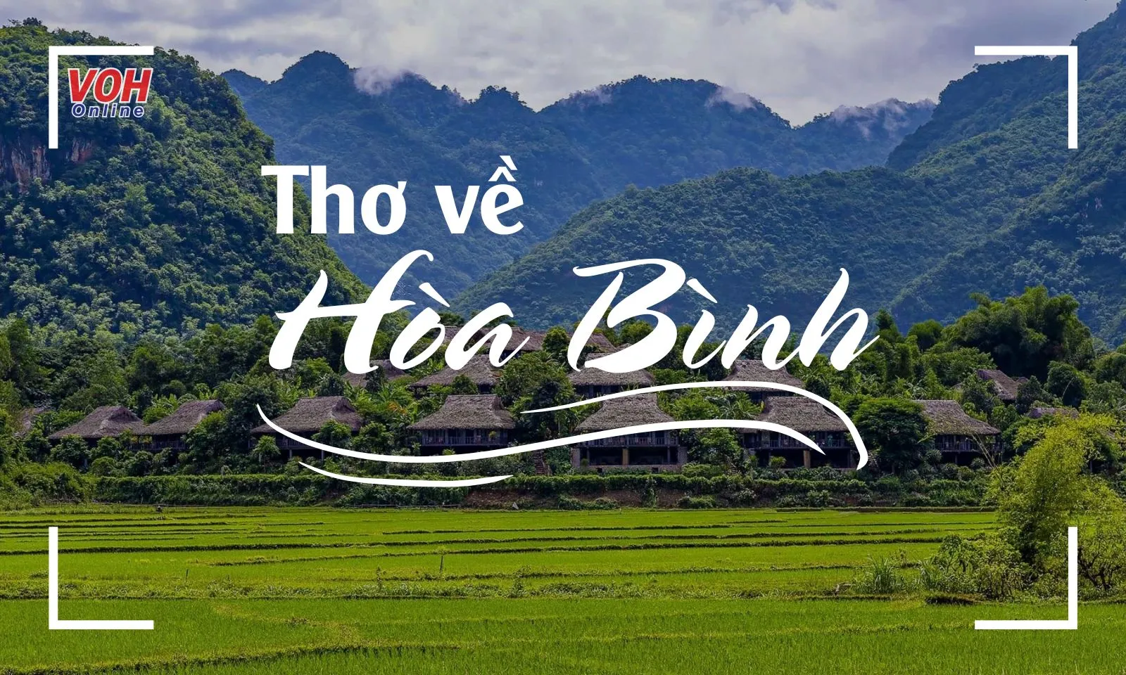 18 bài thơ về Hòa Bình hay, ý nghĩa và đặc sắc nhất