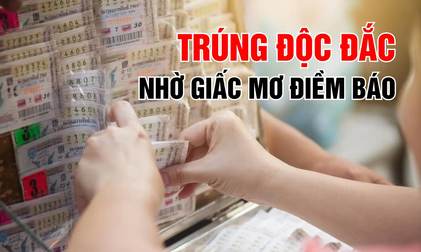 Người bán cá trúng độc đắc nhờ giấc mơ điềm báo