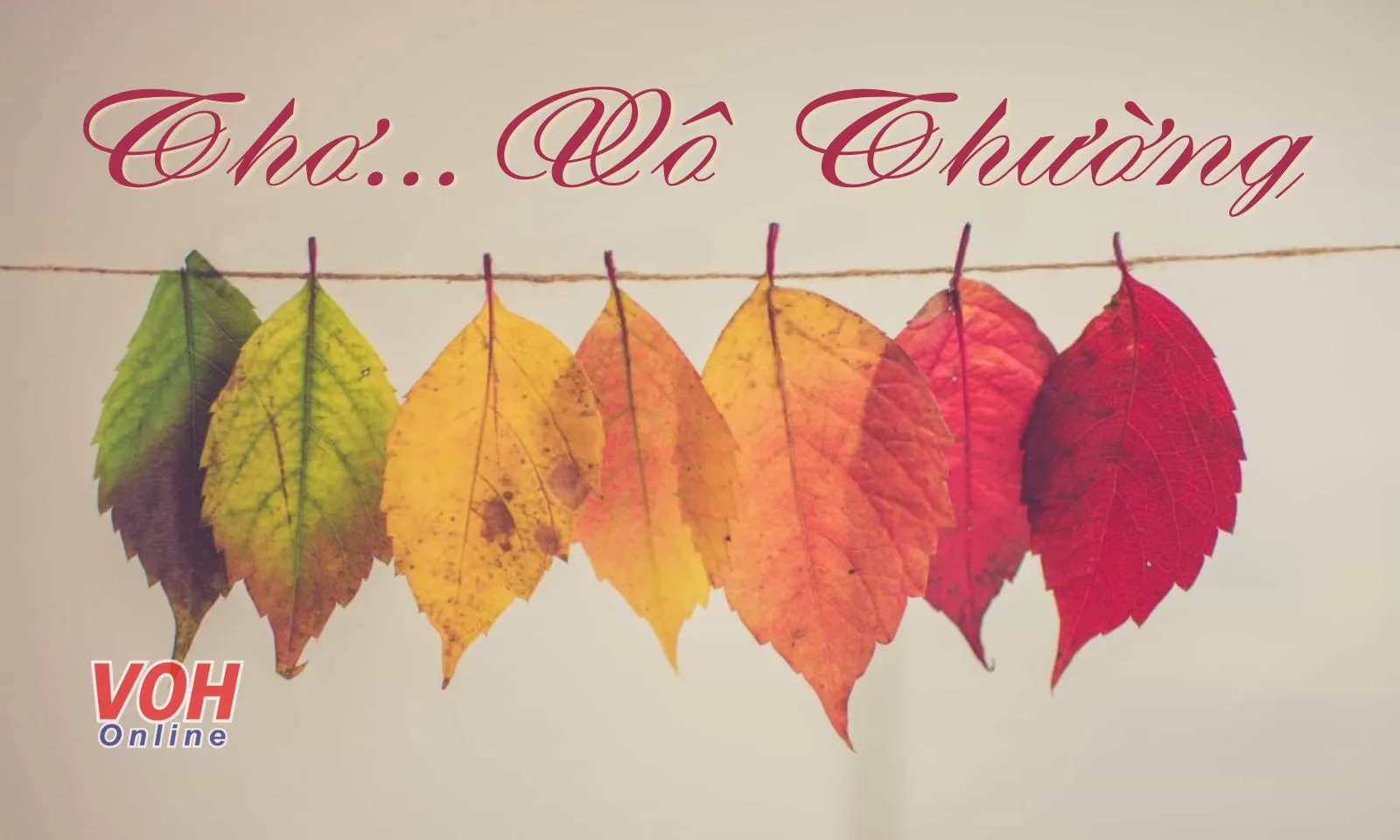 Top bài thơ về vô thường chứa đựng ý nghĩa nhân sinh sâu sắc