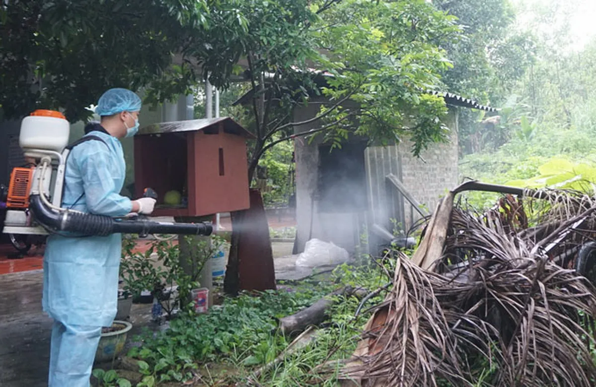 Khởi động dự án di dời hơn 1.800 ngôi mộ tại nghĩa trang Bình Hưng Hòa