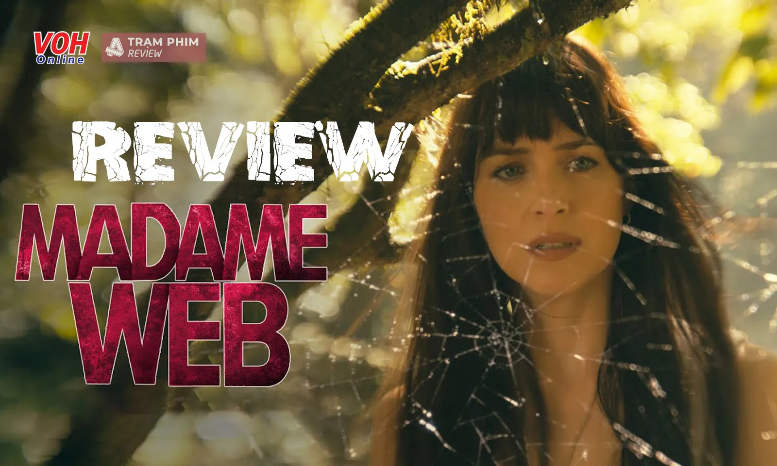 Review Madame Web: Thảm họa đáng quên của Vũ trụ Nhện