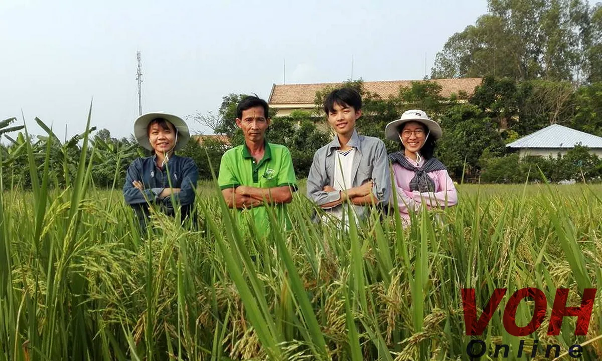 Học tập Bác, lão nông làm giống lúa vì cộng đồng