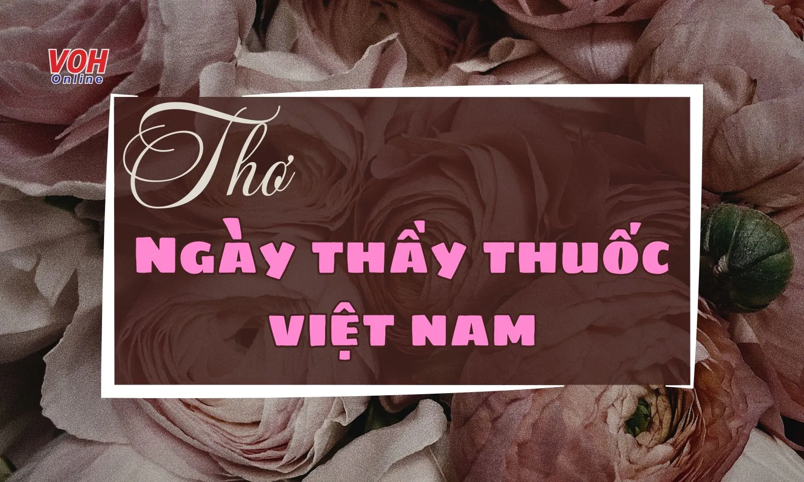 30+ bài thơ về ngày Thầy thuốc Việt Nam hay, giàu cảm xúc