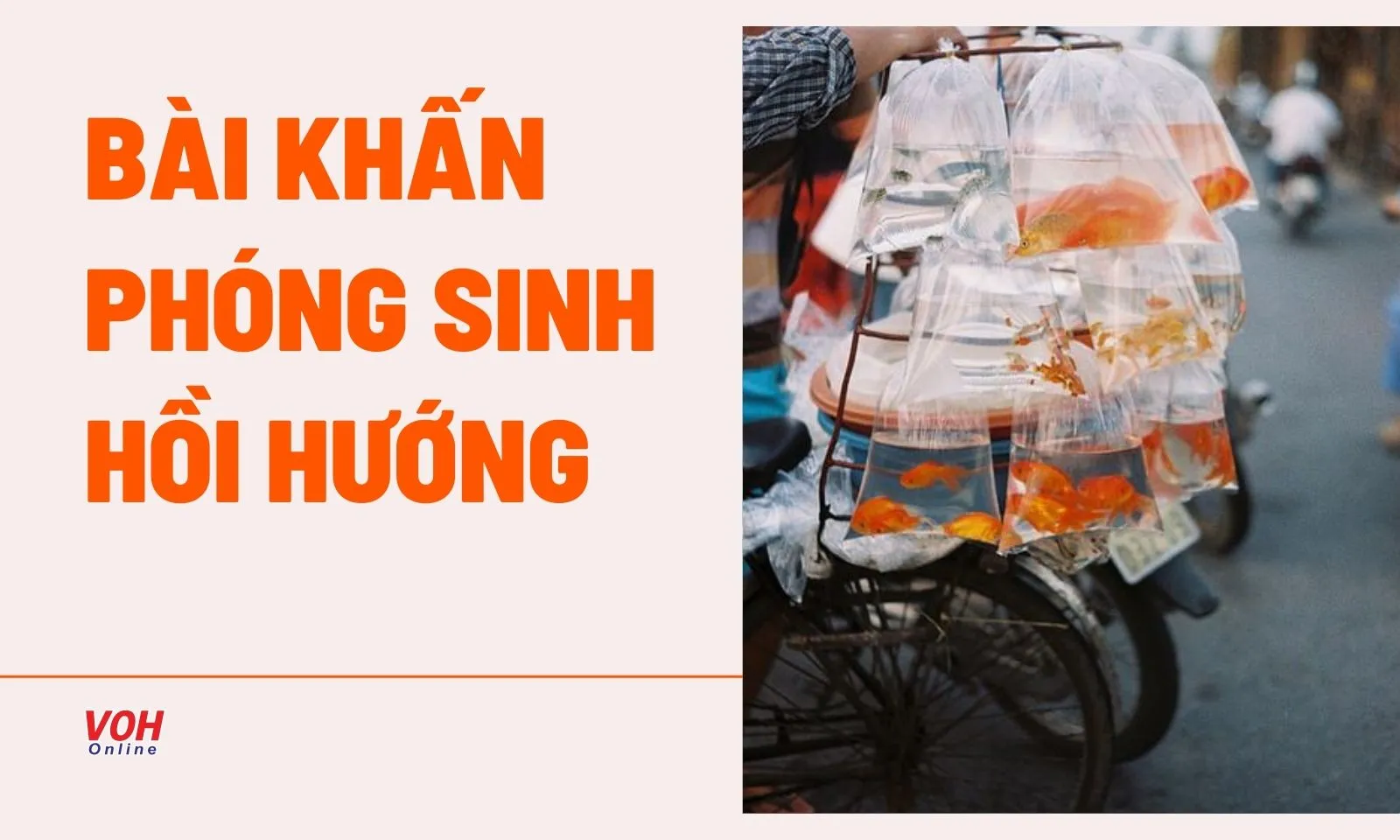 Tổng hợp bài khấn phóng sinh hồi hướng