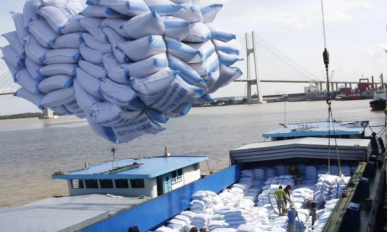 Nhiều tín hiệu lạc quan cho xuất khẩu gạo của Việt Nam trong năm 2024