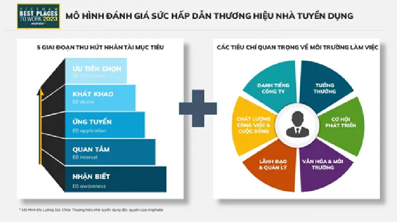Khởi động khảo sát nơi làm việc tốt nhất Việt Nam năm 2024