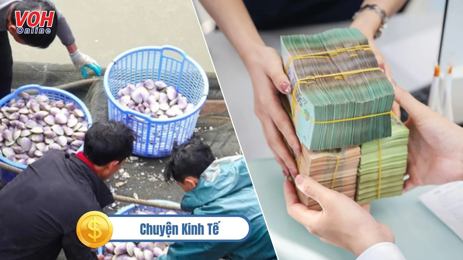 Chuyện kinh tế 5/3: Tại sao một số ngân hàng tăng lãi suất trở lại? | Người dân Hà Tĩnh trúng đậm ngao tím