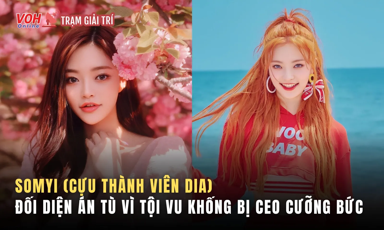 Cựu thành viên DIA đối mặt án tù vì vu khống CEO tấn công tình dục