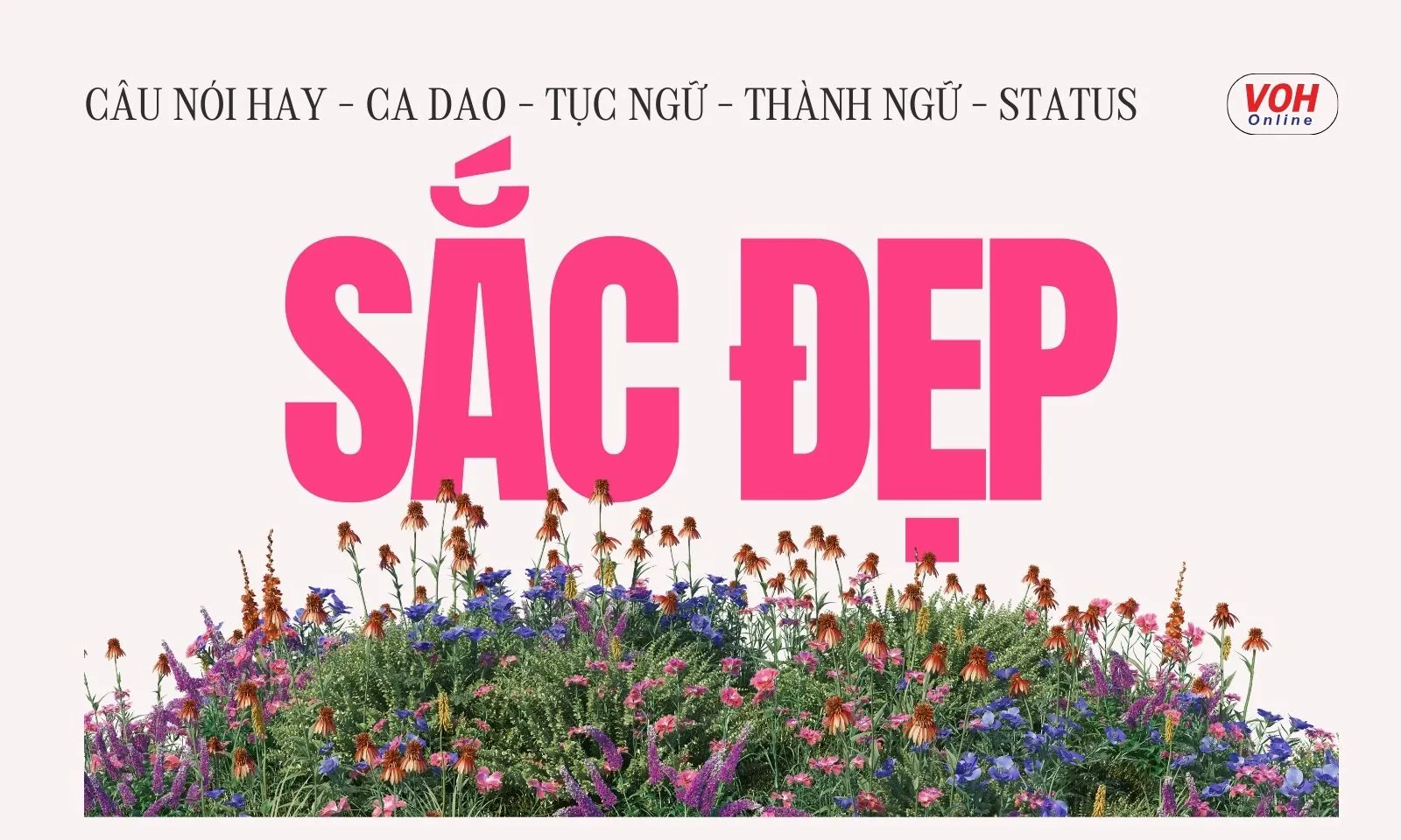 Những câu nói hay về sắc đẹp, ca dao, tục ngữ, thành ngữ, stt về vẻ đẹp con người