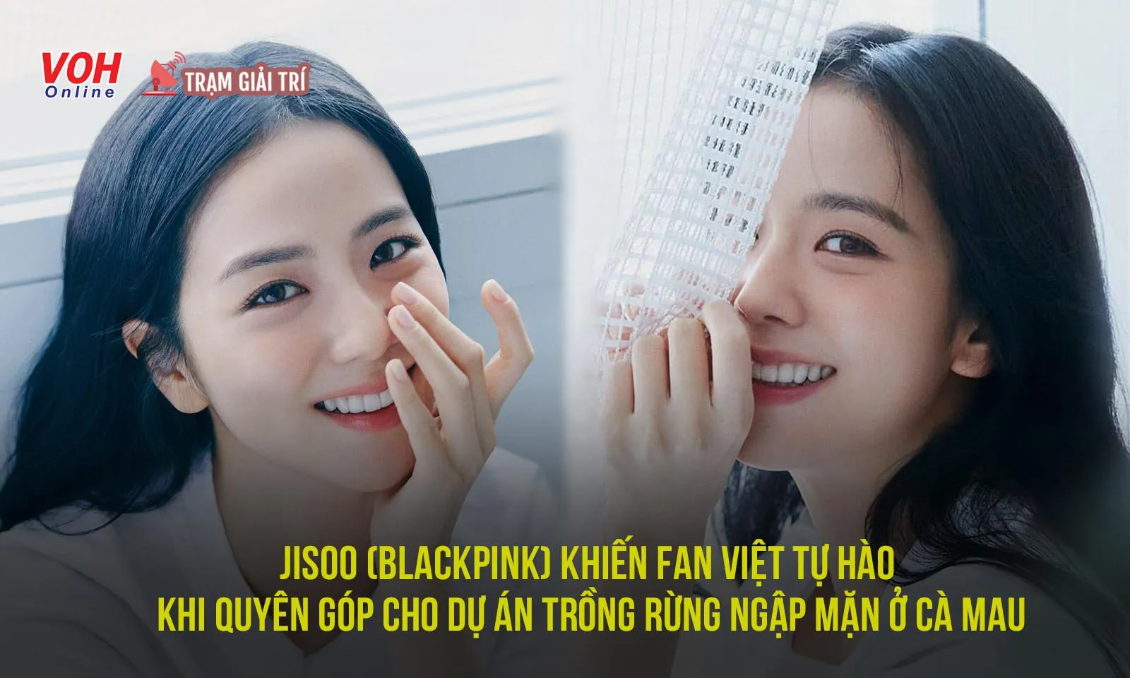 Jisoo Blackpink Quyên Góp Lợi Nhuận Kênh Youtube Cá Nhân Cho Dự án Rừng Ngập Mặn ở Cà Mau 