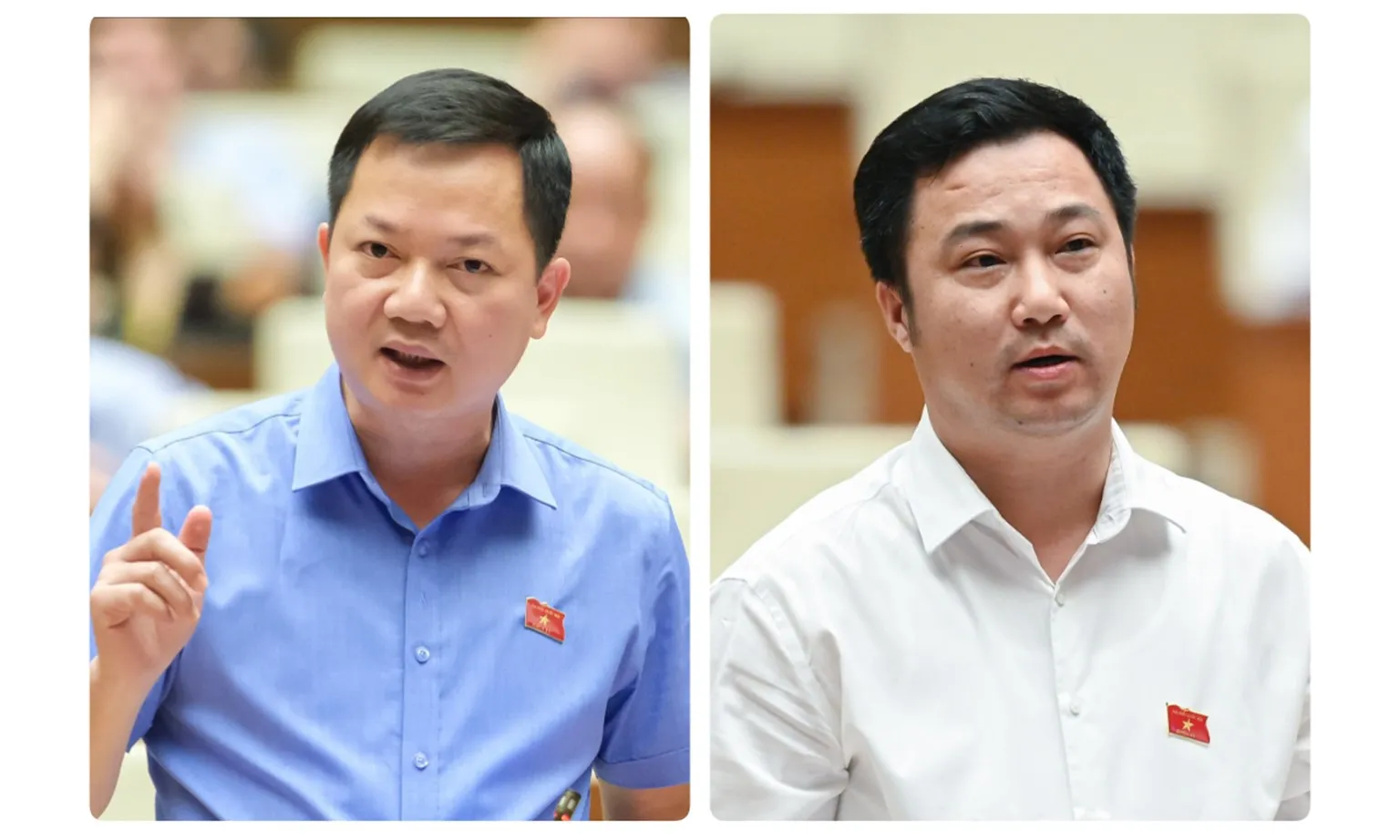 Đại biểu Quốc hội Trịnh Xuân An và Cao Mạnh Linh nhận nhiệm vụ mới