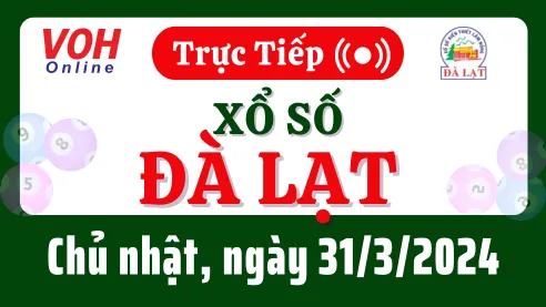 XSDL 31/3 - Kết quả xổ số Đà Lạt hôm nay chủ nhật ngày 31/3/2024