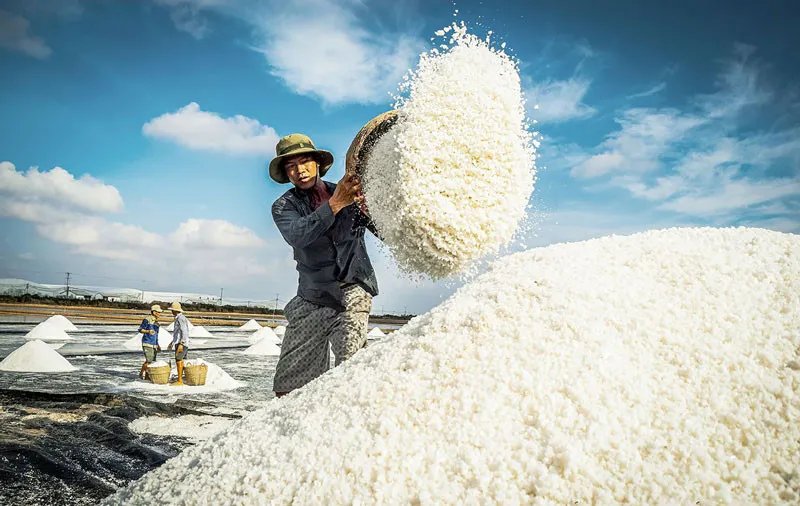 Điểm tin trưa 16/4: Khởi tố vụ án xe chở đoàn cán bộ Cục Quản lý thị trường TPHCM gặp nạn | Muối chính vụ giảm giá