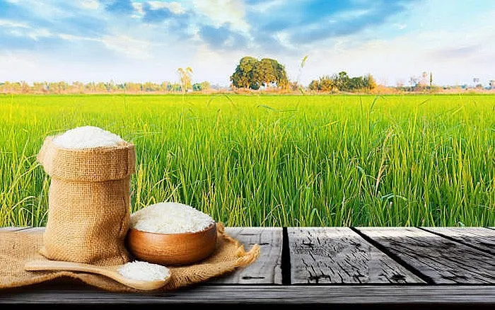 Giá lúa gạo hôm nay ngày 16/4/2024: Tiếp tục trái chiều