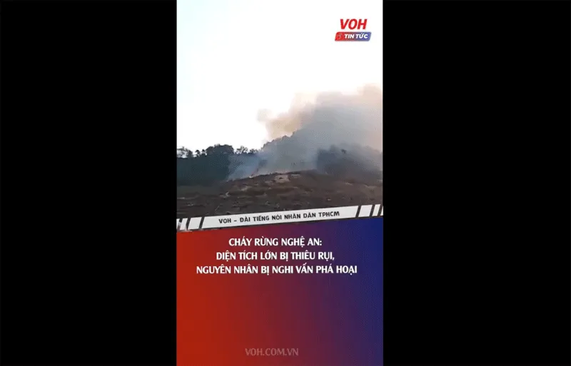 Cháy rừng Nghệ An: Diện tích lớn bị thiêu rụi, nguyên nhân bị nghi vấn phá hoại