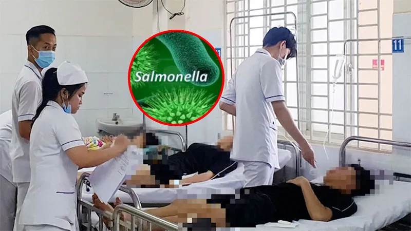 Vụ ngộ độc bánh mì ở Đồng Nai: Vi khuẩn Salmonella là thủ phạm