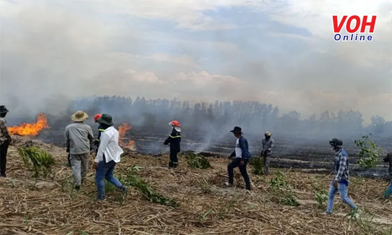 Cháy lớn thiêu rụi hơn 60 ha rừng ở Khánh Hòa